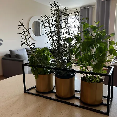 Z Widokiem Na Centrum I Darmowym Parkingiem Appartement Warschau