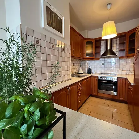 Z Widokiem Na Centrum I Darmowym Parkingiem 公寓 *